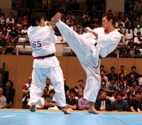31 Чемпионат Японии ИКО.