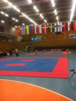 Чемпионат Европы среди мужчин и женщин по Киокушинкай каратэ ИКО Мацушима.